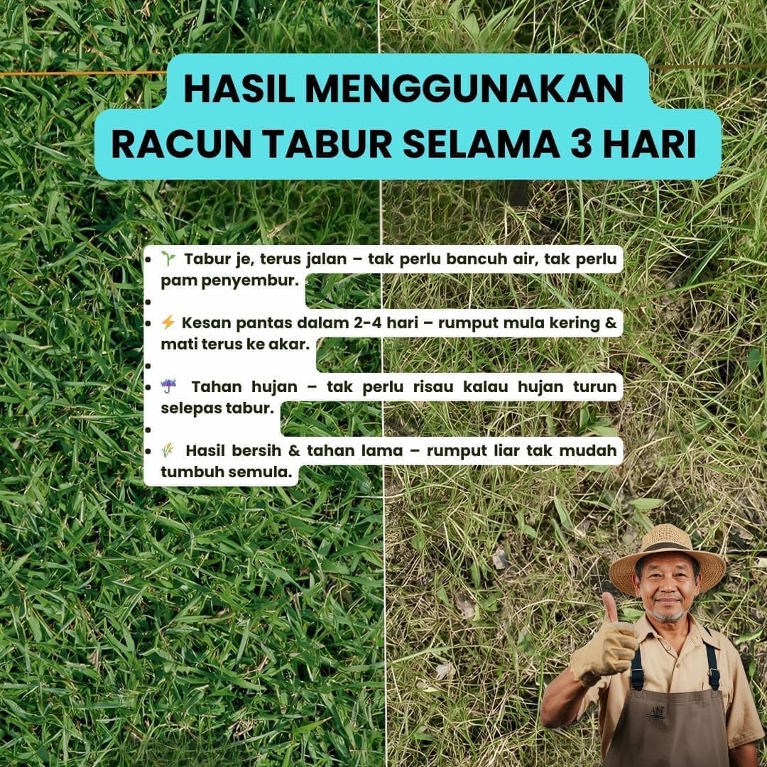 gambar 1