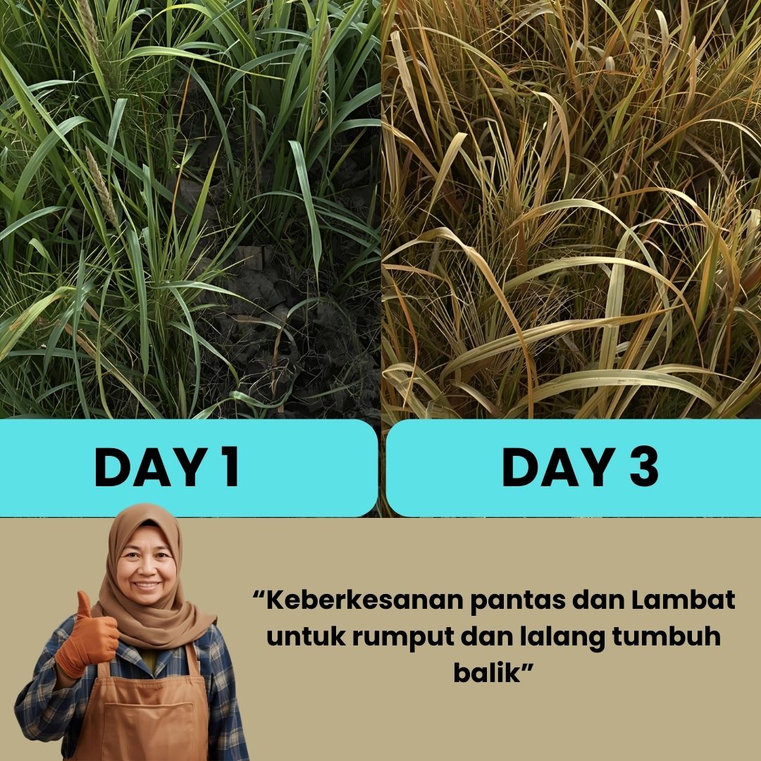 gambar 4